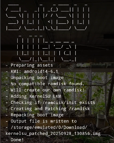 Patched Image Path Patched Image Path